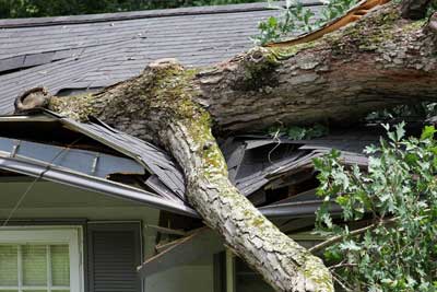 Damaged Roof Insurance Claim Services Damaged Roof Insurance Claim Services
